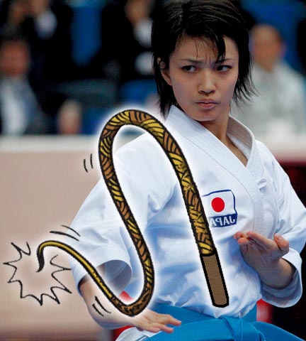 rika-usami-karate-kata-whip