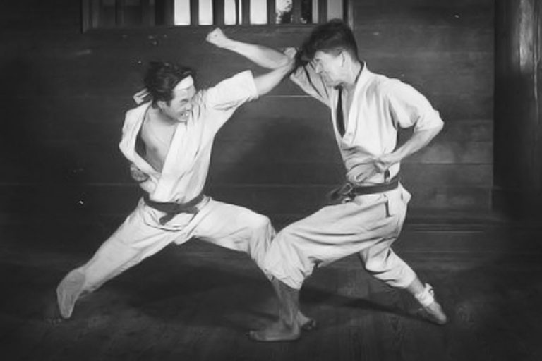 Free Guide Strength & Cardio for Karate Practitioners