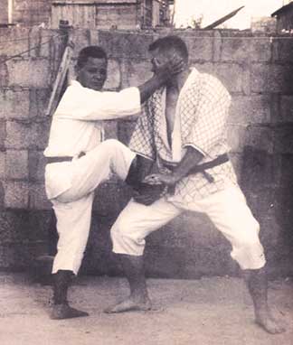 kata bunkai